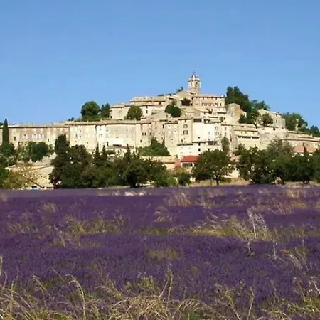 Villa Tres Belle Maison Provencale. Piscine Et Paysage